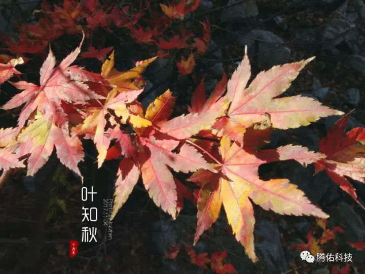 也许出去旅行才是互联网公司最好的员工福利——自律让人自由